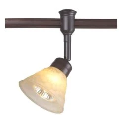 1-Light Bronze Flexible Track Lighting Head With Hammered Glass Shade