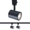 Charge 2-Light LED Black Line Voltage Track Head, 3000K For H Track (2-Pack) 2 Charge 2-Light LED Black Line Voltage Track Head, 3000K For H Track (2-Pack) -Lamp Parts black 3000k 2 pack wac limited track lighting heads h 8010 30 bk 2 64 1000