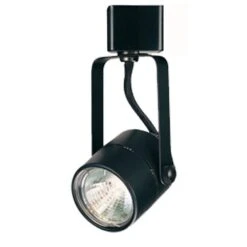 Black Pinhole Cylinder Track Lighting Fixture