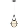 Colby 1-Light Black Pendant Light