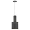 Casey 1-Light Black Pendant Light