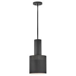 Casey 1-Light Black Pendant Light
