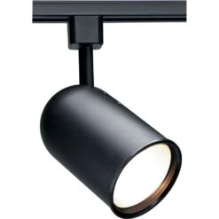 1-Light R30 Black Bullet Cylinder Track Lighting Head
