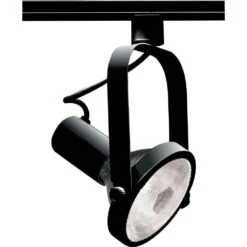 1-Light PAR38 Black Gimbal Ring Track Lighting Head