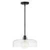 Maisie 1-Light Black Shaded Pendant Light With Shade
