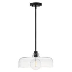 Maisie 1-Light Black Shaded Pendant Light With Shade