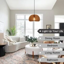 1 Light Black/Brown Single Dome Pendant Light With Shade, No Bulbs Included -Lamp Parts brown adsensty pendant lights hd5 1 n d5048m a0 1000