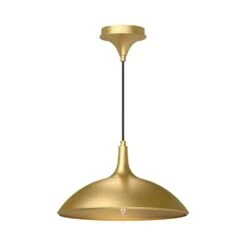 Abel 14 In. 1 Light 60-Watt Brushed Gold Pendant Light