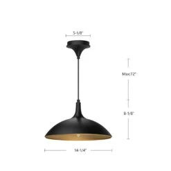 Abel 14 In. 1 Light 60-Watt Brushed Gold Pendant Light -Lamp Parts brushed gold alora mood pendant lights pd627914bg 77 1000