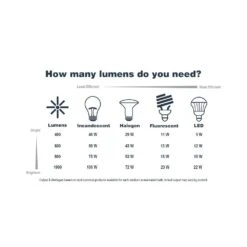 Cairo 60-Watt 2-Light Brushed Gold Modern Pendant Light With Clear Glass Globe And No Bulbs Included -Lamp Parts brushed gold hampton bay pendant lights hb3812 338 4f 1000