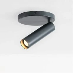 Karpo Dark Silver Adjustable Spot Light, Integrated LED Bulb, Fixed Track Cylinder Spotlight, 3000k, 580 Lumens