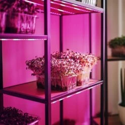 11-Watt 8 Ft. Linkable Indoor And Greenhouse Seeding, Vegetation, Flowering Plant Specialty Tape LED Grow Light (4-Pack) -Lamp Parts feit electric led strip lights tape48growled 4 fa 1000