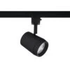 Ocularc 7011 Black Integrated LED 5CCT Fixed Track Hardwired Track Lighting Cylinder H Track Head -Lamp Parts h track head black wac lighting track lighting heads h 7011 cs bk 64 1000