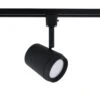 Ocularc 7030 Black Integrated LED 5CCT Fixed Track Hardwired Track Lighting Cylinder L Track Head