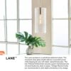 Lane Lacquered Brass + Clear Glass Cylindrical Pendant Light