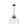 Lancaster 15 In. 1 Light 60-Watt Matte Black Pendant Light -Lamp Parts matte black alora mood pendant lights pd461101mb 64 1000