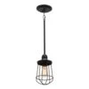 Southbourne 1-Light Matte Black Cage Mini Pendant Light With Open Cage Shade