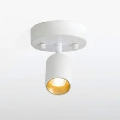 Shura Matte White Adjustable Spot Light, Integrated LED Bulb, Fixed Track Cylinder Spotlight, 3000k, 490 Lumens
