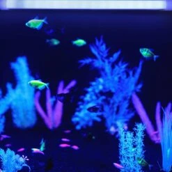 Monster Blacklight Light Bar, Creates Reflective Colors In Any Space/Environment, USB Power Cord -Lamp Parts monster under cabinet lighting accessories mlb7 2011 blk 4f 1000