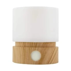 0.3-Watt Wood Modern Dimmable Touch Tap Light Integrated LED Cylindrical Night Light, 3000K