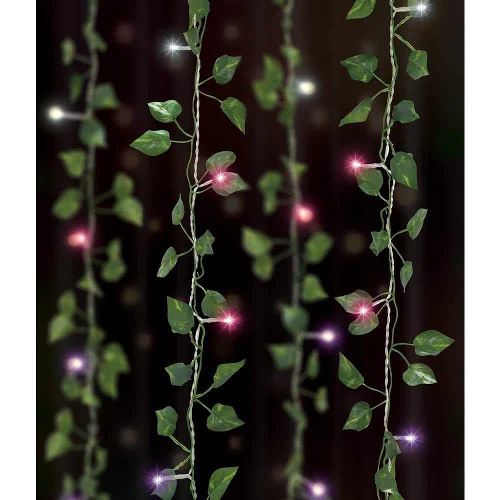 66 Ombre Light 3.5 Ft. X 5 Ft. Indoor Battery Operated Integrated LED Curtain Vine String Lights 3 66 Ombre Light 3.5 Ft. X 5 Ft. Indoor Battery Operated Integrated LED Curtain Vine String Lights