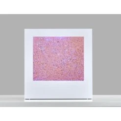 9 In. White Glitter Light Box Lamp -Lamp Parts novelty lights sl3984 02 4f 1000