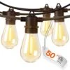50 Ft. Outdoor-Plug-In Edison Integrated LED Rope Light (1-Pack) -Lamp Parts objlgev rope lights 27isa17059 64 1000