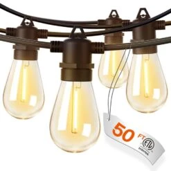 50 Ft. Outdoor-Plug-In Edison Integrated LED Rope Light (1-Pack)