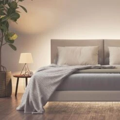 Essentials Indoor Matter Enabled 6.56 Ft. Plug-In LED Rope Light 100V, A19 LED Adjustable White & Color Bulb (2-Pack) 14 Essentials Indoor Matter Enabled 6.56 Ft. Plug-In LED Rope Light 100V, A19 LED Adjustable White & Color Bulb (2-Pack) -Lamp Parts rope lights nf080hd03 2b1s 40 1000