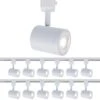Charge White 5CCT Integrated LED Ceiling Hardwired Fixed Track Cylinder Head, H Track (12-Pack)