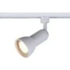 1-Light White R20/PAR20 Medium Linear Track Lighting Step Head