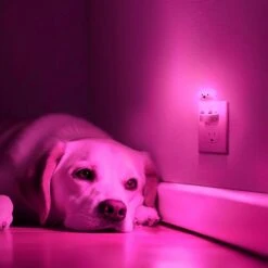 Plug-in Puppy Night Light For Kids, RGB + 3000K, Dusk To Dawn Sensor, Cute Dog Design For Bedroom, Nursery, Gift(4-Pack) -Lamp Parts yansun night lights ha gy10109dous 4ap3 44 1000